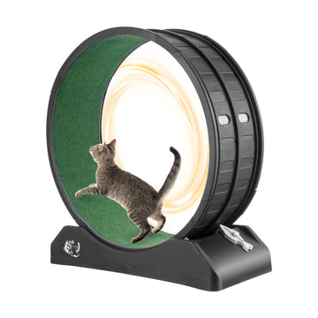 Cat Exercise Wheel 31.5 Inch, Quiet Brake Lock