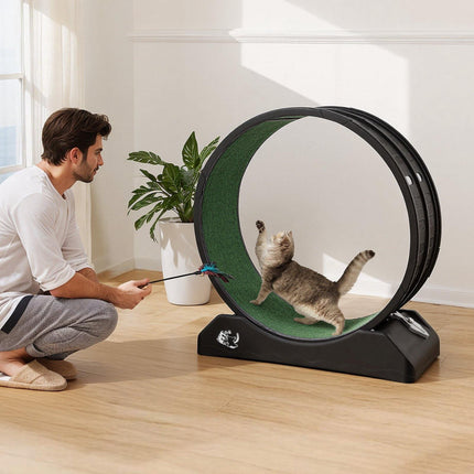 Cat Exercise Wheel 31.5 Inch, Quiet Brake Lock