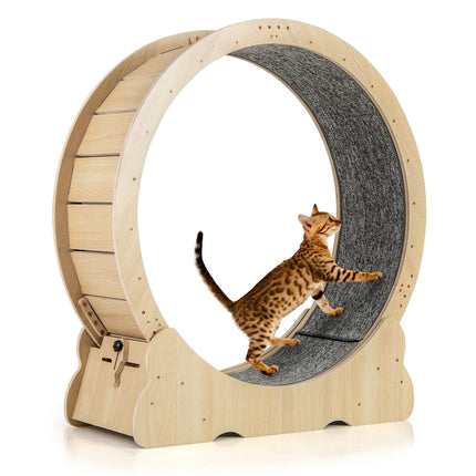 Cat Exercise Wheel with Lock, 101 cm, Quiet Design
