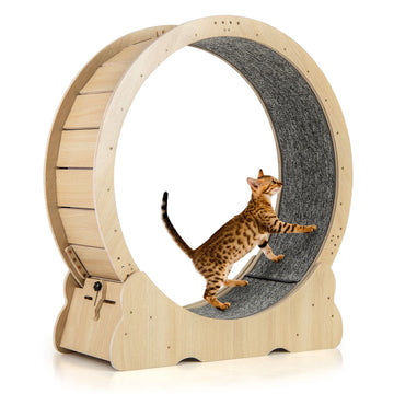Cat Exercise Wheel with Lock, 101 cm, Quiet Design