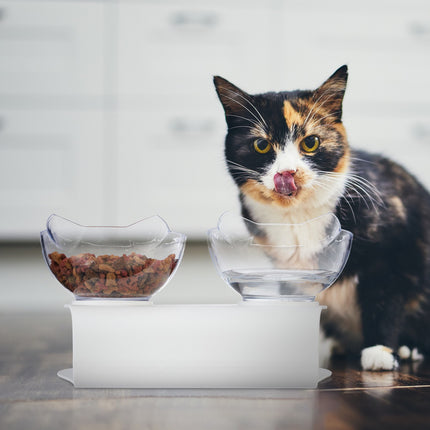 Cat Feeding Station with 2 Non-Slip Bowls