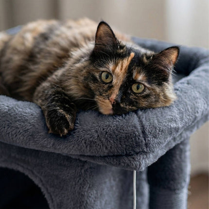 Cat Tree with Cave & Platform, Dark Gray, 60 cm High