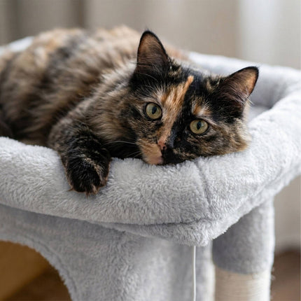 Cat Tree with Cave & Platform, Light Grey, 60cm