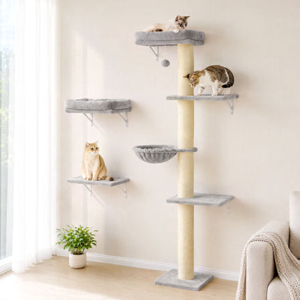 Cat Wall Climbing Set with Hammock and Platforms