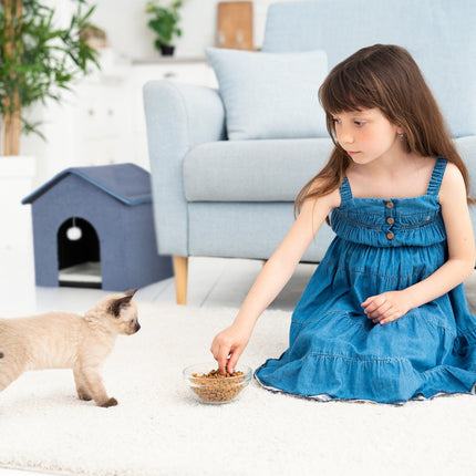 Cat cave in blue