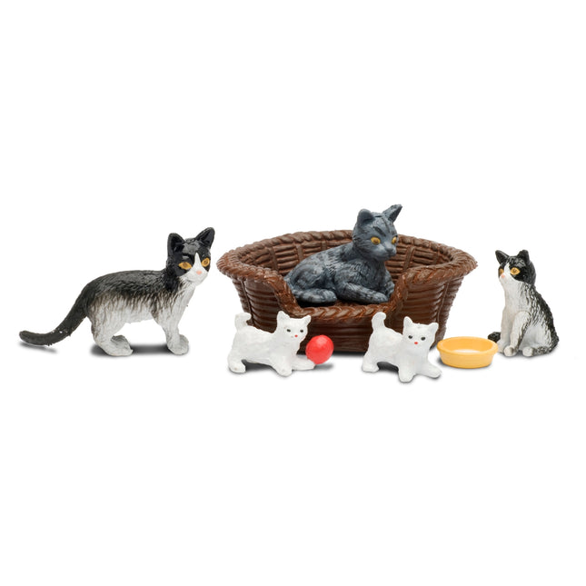 Cat family 608073