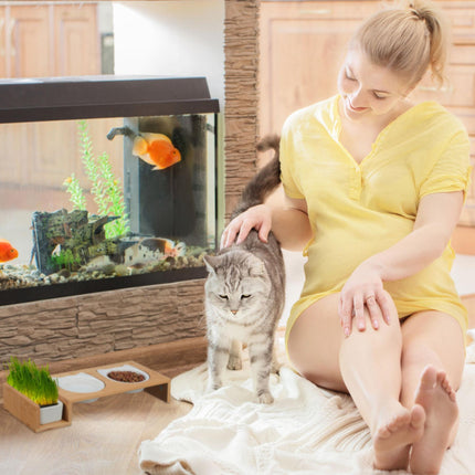 Cat feeding station and cat grass bowl