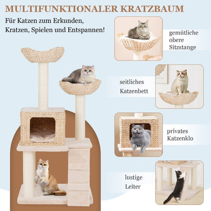 Cattail cat tree cat tree with sisal posts & seat & cat house & ladder cat tower