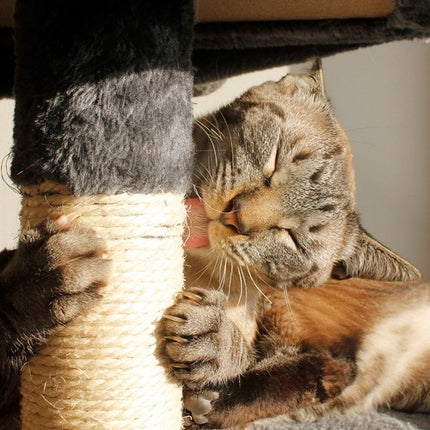 Cat tree 71cm gray Purlov 21711