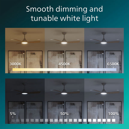 Ceiling Fan Light 106 cm, Tunable White LED, Remote