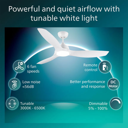 Ceiling Fan Light 132 cm, Dimmable LED, Remote
