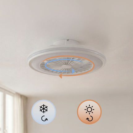 Ceiling Fan with RGB LED Light, Remote Control, Hidden Blades