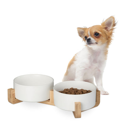 Ceramic dog bowl with bamboo frame