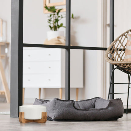 Ceramic dog bowl with bamboo frame