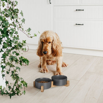 Ceramic dog bowl with bamboo frame