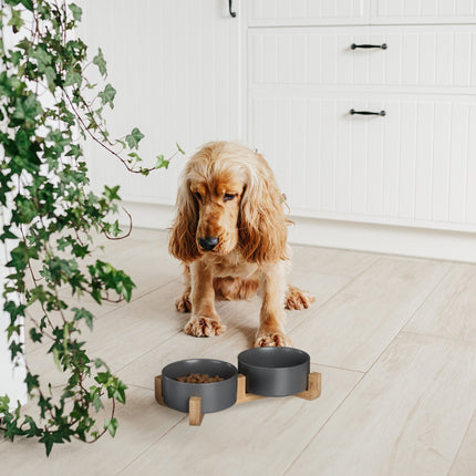 Ceramic dog bowl with bamboo frame