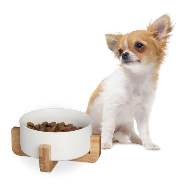 Ceramic dog bowl with bamboo frame