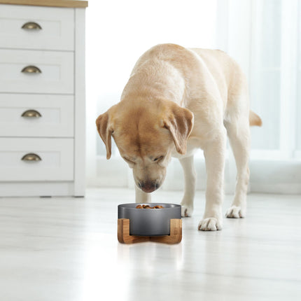 Ceramic dog bowl with bamboo frame