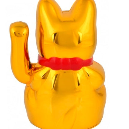 Chinese cat - golden