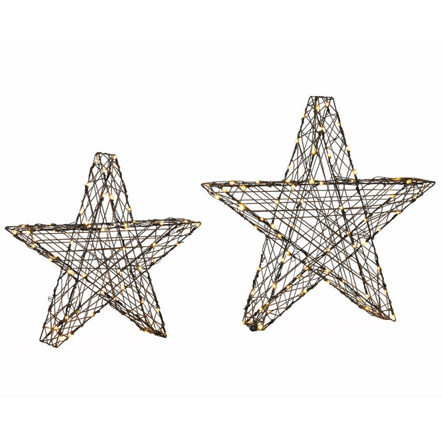 Warm white LED poinsettia Christmas lights, set of 2