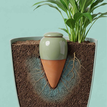 Clay Watering Cones with Lids, 350ml, 2-Pack, Sage