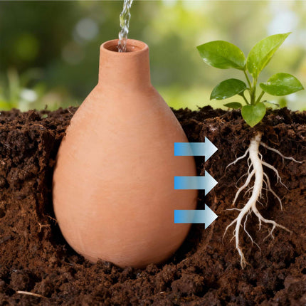 Clay Watering Ollas, 1L, 2 Pack, Subsurface Irrigation
