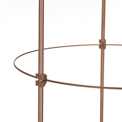 Climbing Plant Support, 150 cm, Set of 2, Brown