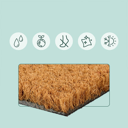 Coconut Doormat 60x40 cm – Winter Print, Non-Slip