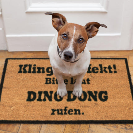 Coconut rug DING DONG