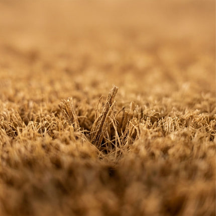 Coir Welcome Doormat, Non-Slip, 60x40 cm