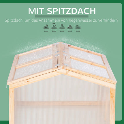 Greenhouse with wooden cold frame, weatherproof polycarbonate cover