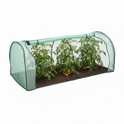 Cold Frame Greenhouse with PE Film and Roll-Up Door