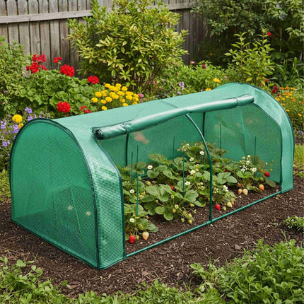 Cold Frame Greenhouse with PE Film and Roll-Up Door