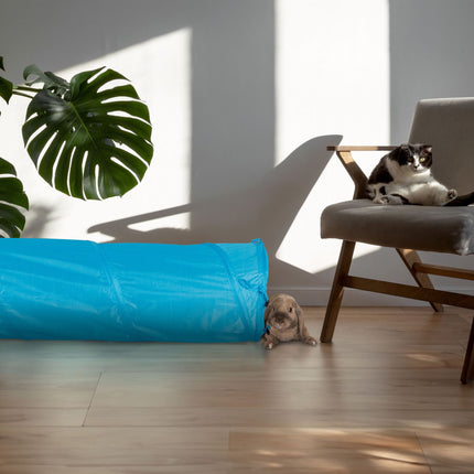 Collapsible cat tunnel with toys