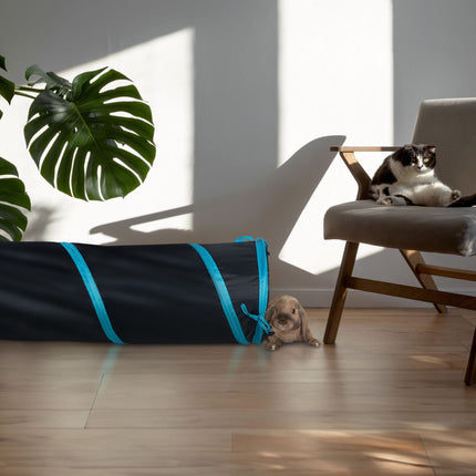 Collapsible cat tunnel with toys