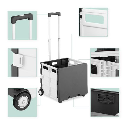 Collapsible shopping cart with lid