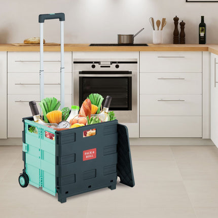 Collapsible shopping cart with lid