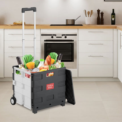 Collapsible shopping cart with lid