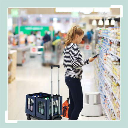 Collapsible transport trolley