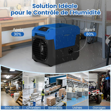 Commercial Dehumidifier 66 L/Day, Pump Drain, 167 m²