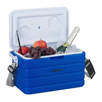 Cool box 10 l with carrying strap