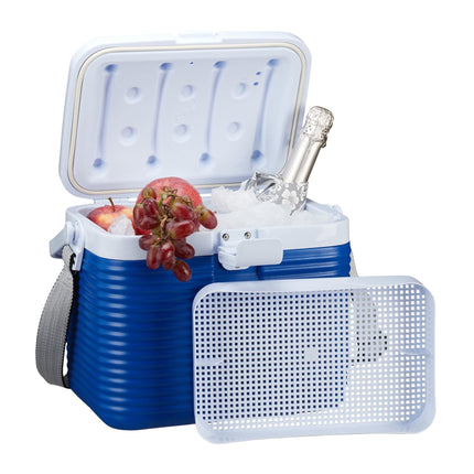 Cool box small 8 litres
