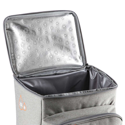 Cooler Backpack, Gray, 25L Capacity