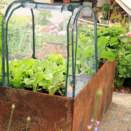Cooling frame with planter bag