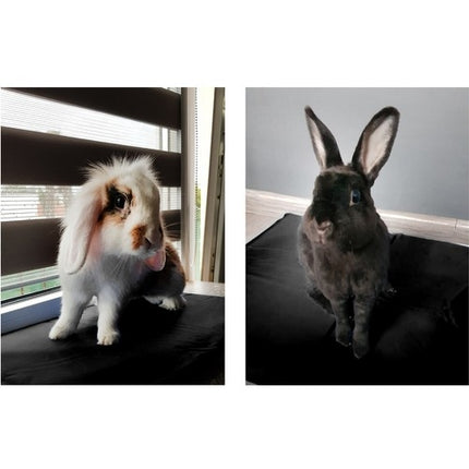 Cooling mat for animals 50x40cm