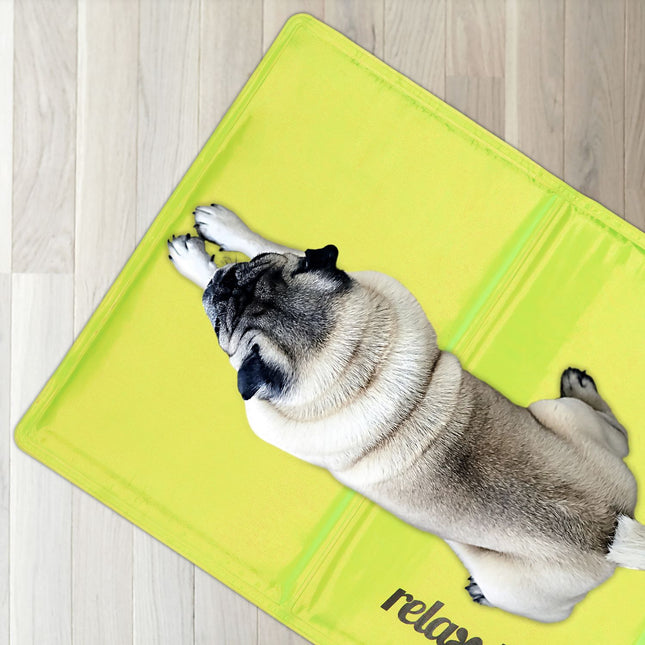 Cooling mat for dogs