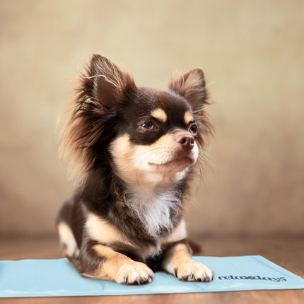 Cooling mat for dogs