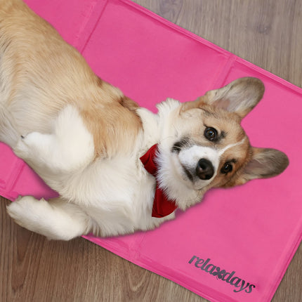 Cooling mat for dogs