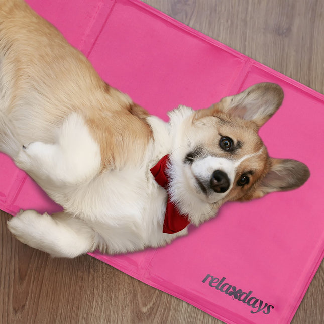 Cooling mat for dogs