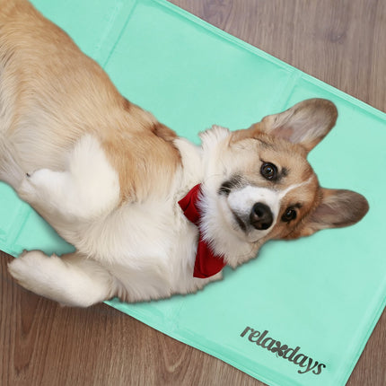 Cooling mat for dogs